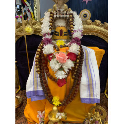 Lord Shiva Abhishekam